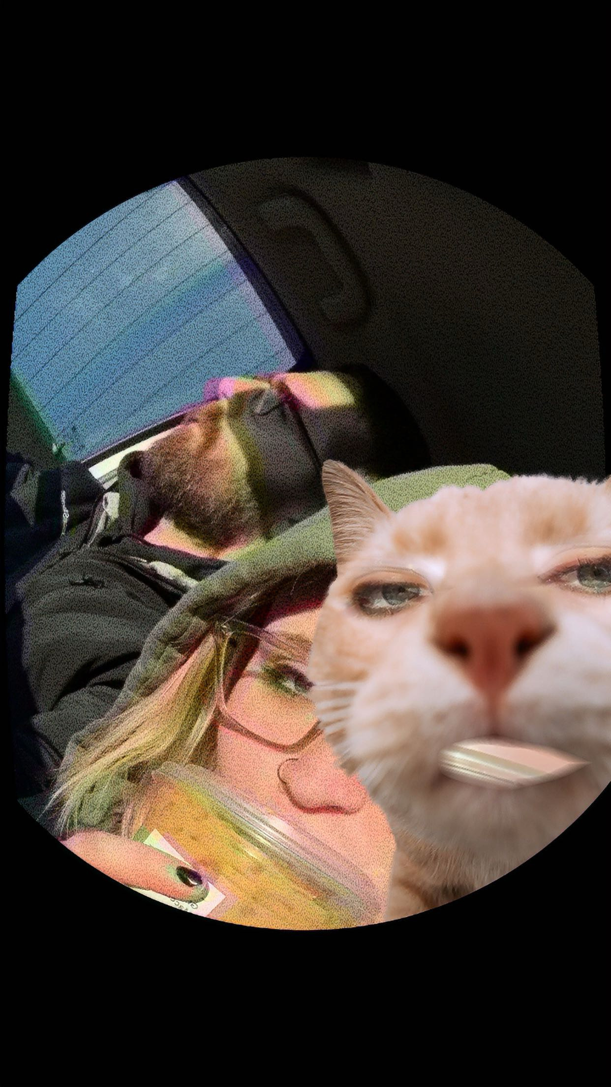 Lee